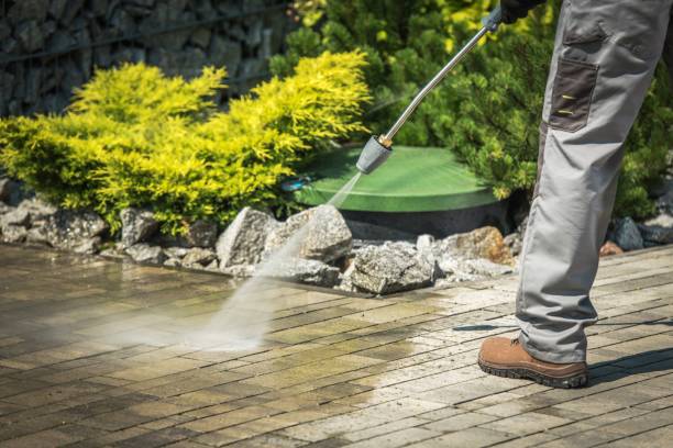 Best Pool Deck Cleaning  in Ivanhoe, CA